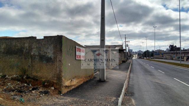 Terreno residencial à venda, colônia rio grande, são josé dos pinhais - te0023. - Foto 11