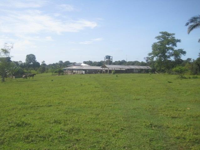 Fazenda em Autazes 750.000 - Foto 2