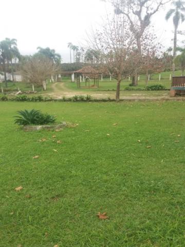 Chácara à venda em Cerne, Campina grande do sul cod:CH00011 - Foto 12
