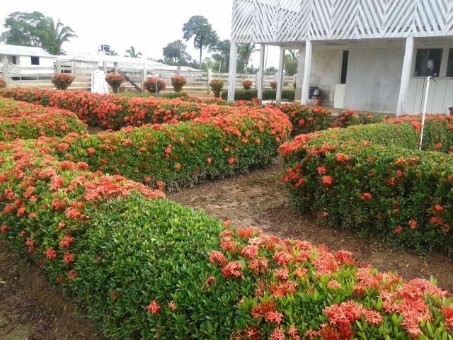 Fazenda em Autazes 750.000 - Foto 8