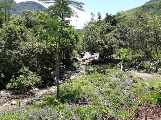 Em vestimento imperdível - Foto 4