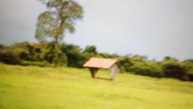 Fazenda de 87.945 hectares, em pocone no pantanal Mato-Grossense ! - Foto 8