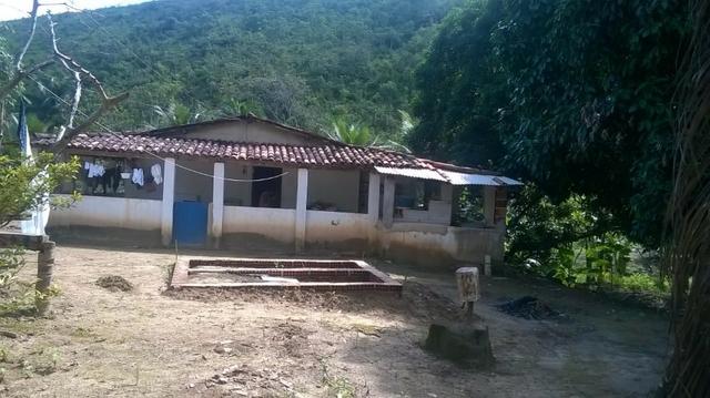 Sítio 11.000 m2 verdadeiro paraíso - Foto 3