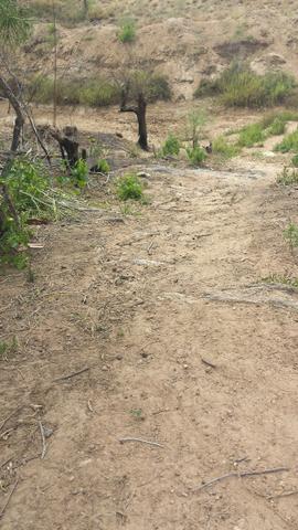 3 Lotes para Cácaras - Oportunidade - Foto 5