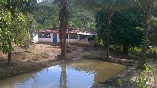 Sítio 11.000 m2 verdadeiro paraíso - Foto 7