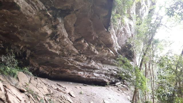 Alfredo Wagner , Serra Catarinense 8,0 hectares - Foto 11