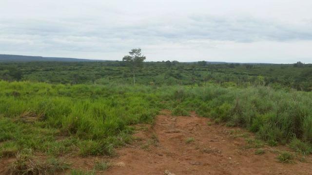 Vendo Fazenda de 1702 hectares no Leste do Maranhão - Foto 7