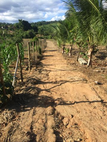 Área de 1.000 metros quadrados - Foto 2