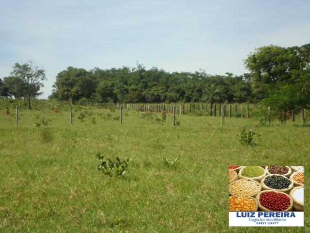 FAZENDA A VENDA de 100 HECTARES EM TERENOS - MS - (Pecuária)