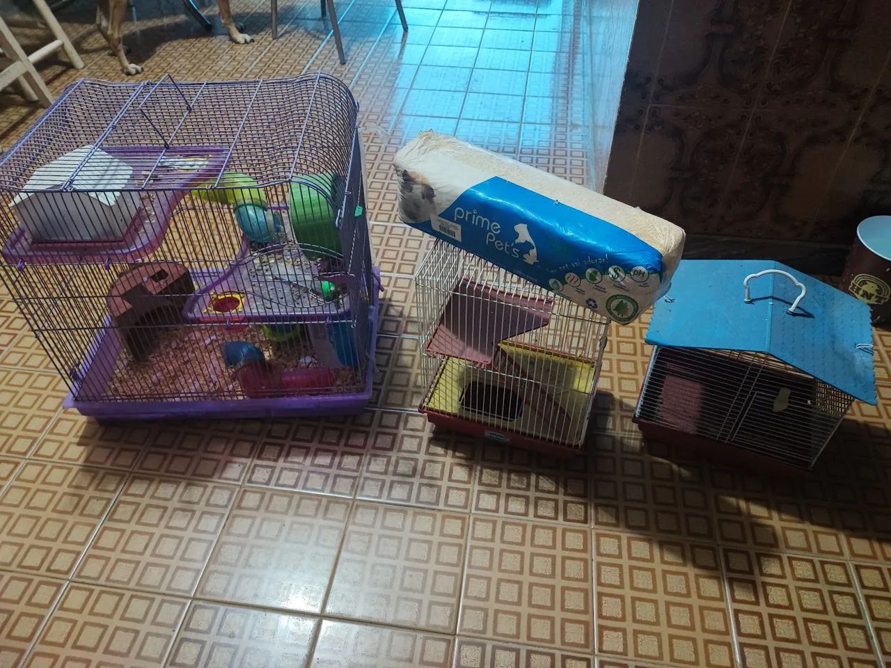 Três gaiolas para hamster