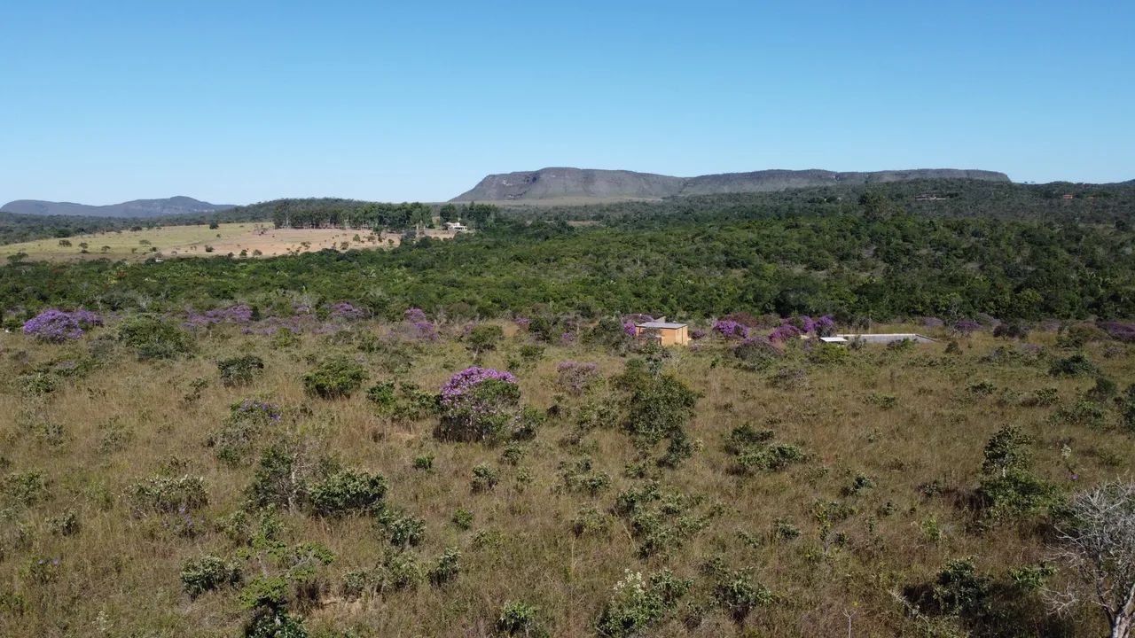 foto - Brasília - Setor Habitacional Jardim Botânico