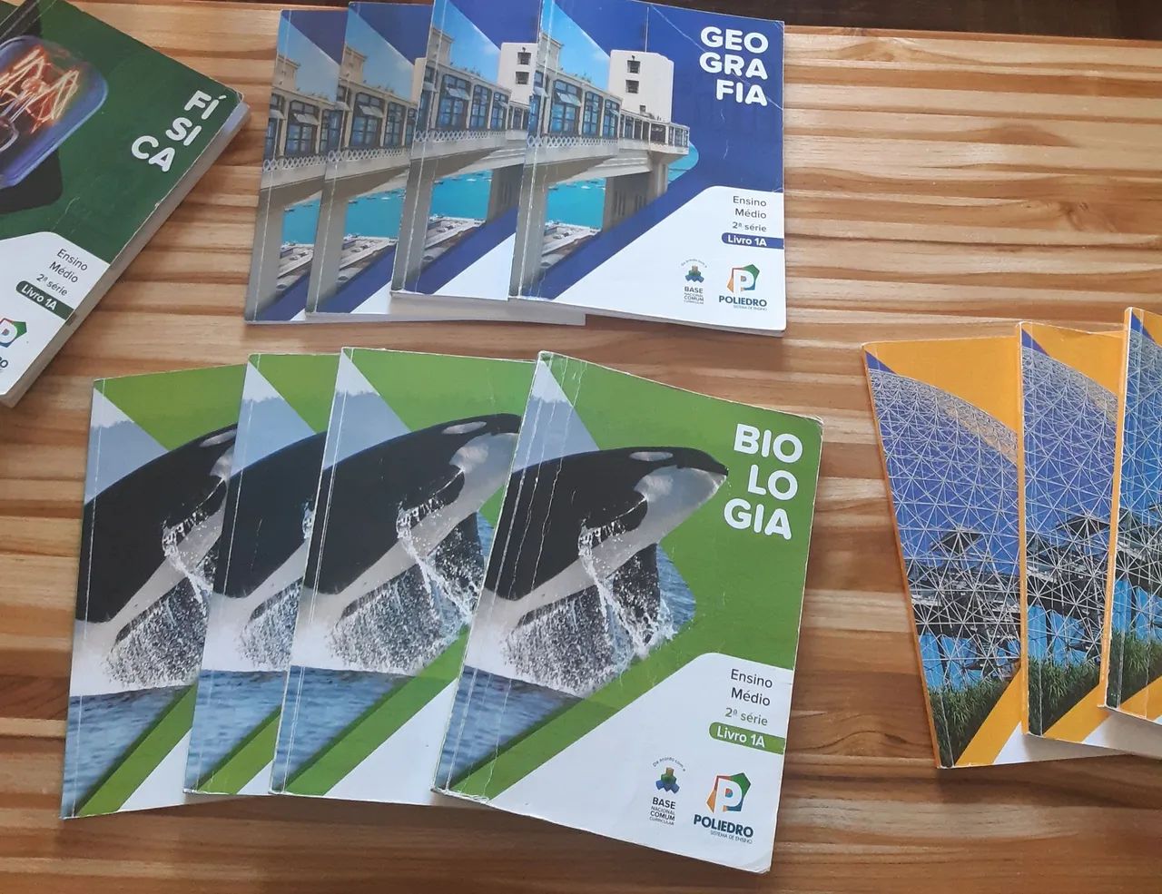 DOAÇÃO LIVROS SAGRADA FAMÍLIA 2°ano do Ensino Médio 2022 - Foto 2