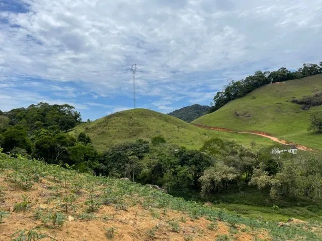 Terreno / chácara - Birirca - Boqueirão do Thomas. OPORTUNIDADE ÚNICA - Foto 4