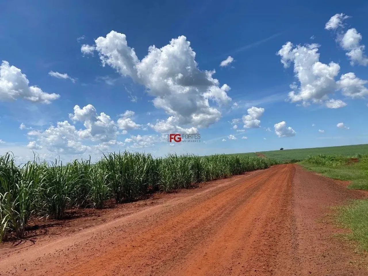 Propriedade Rural com Produção de Cana-de-Açúcar