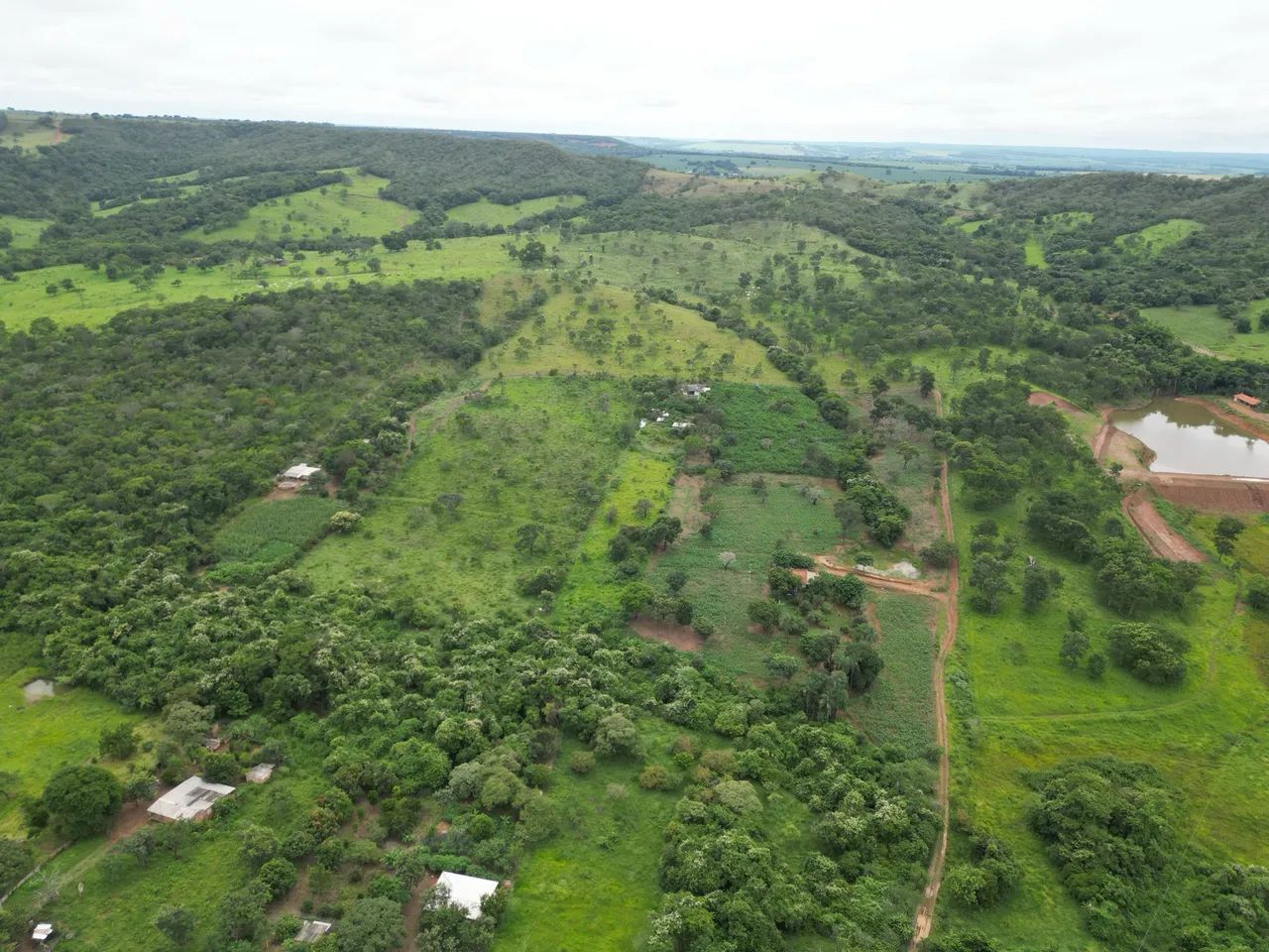 37.000 m ² com 50.000 pes de guariroba - Foto 5