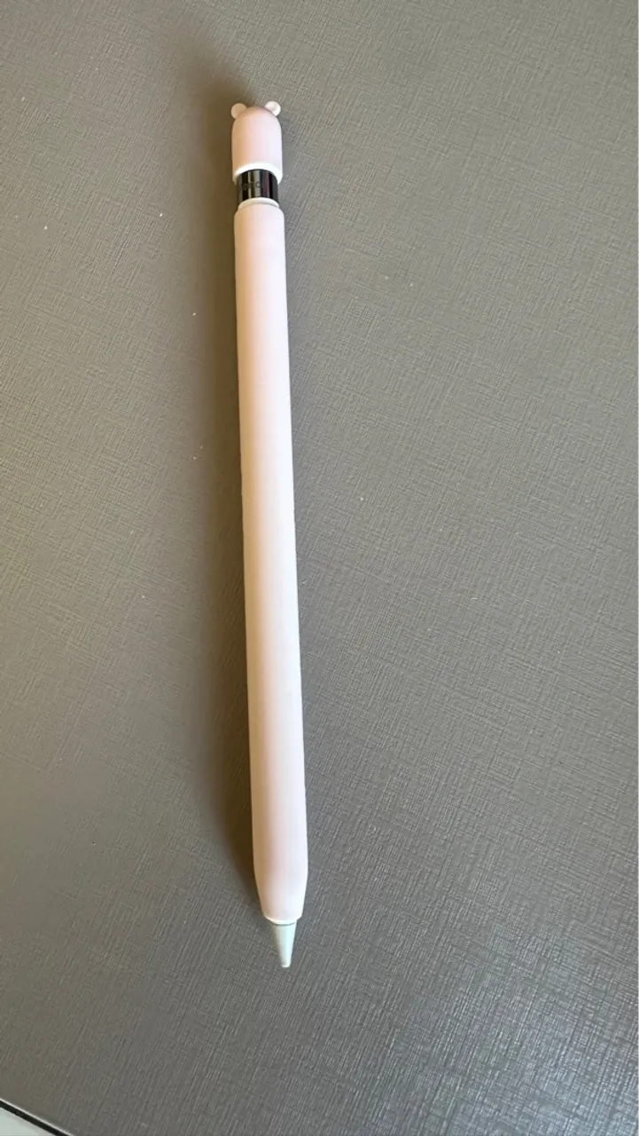 Apple Pencil na caixa