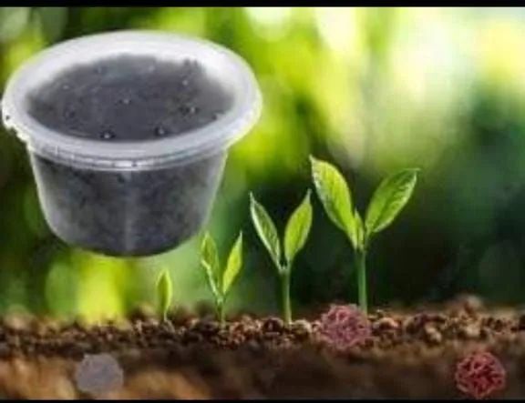 150 Minhoca Californiana