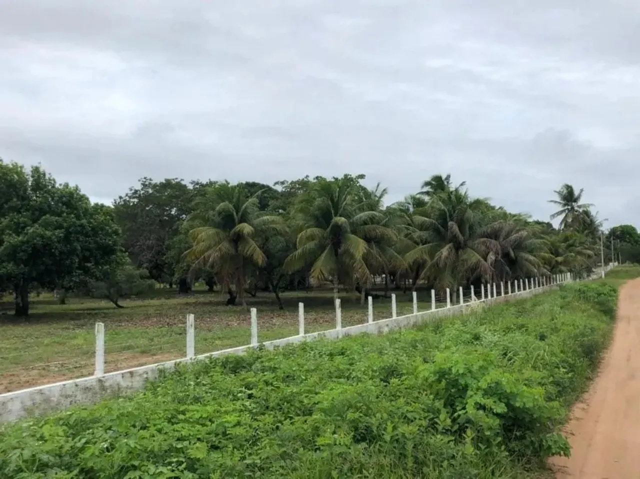 Terreno à venda, 17295 m² por R$ 430.000,00 - São José de Mipibu - São José de Mipibu/RN