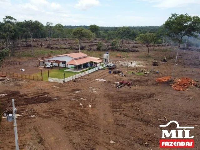 Fazenda na Lagoa da Confusão-TO. . 213 Alq. (1.030 Há) - Foto 4