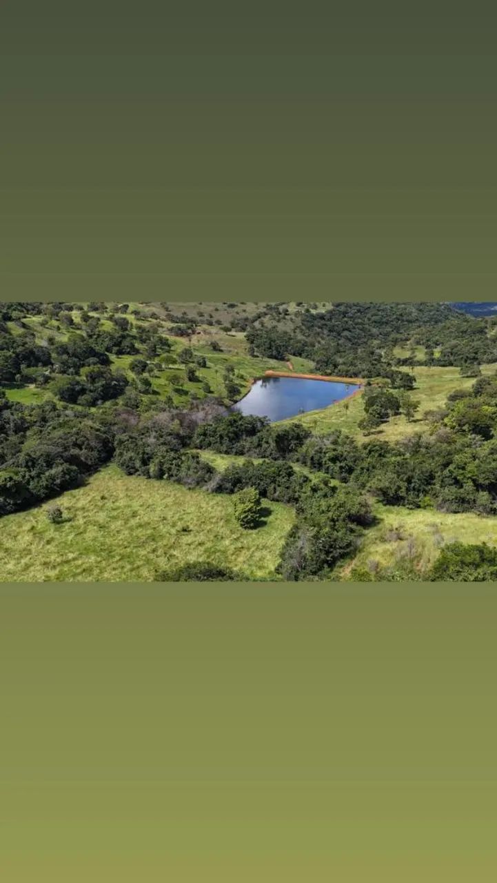 Ótima Fazenda disponível (pecuária) - Foto 5