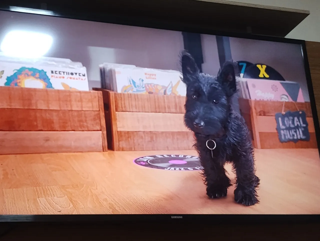 TV Samsung Smart 43