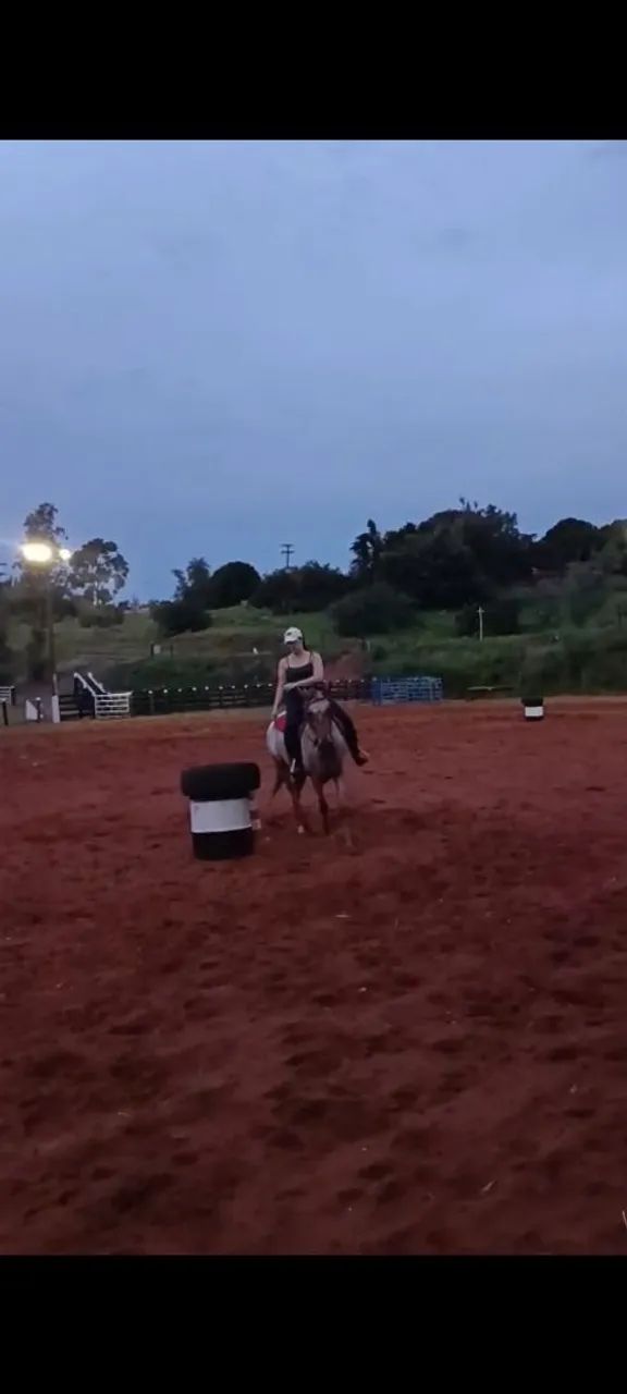 Vendo égua appaloosa - Foto 4