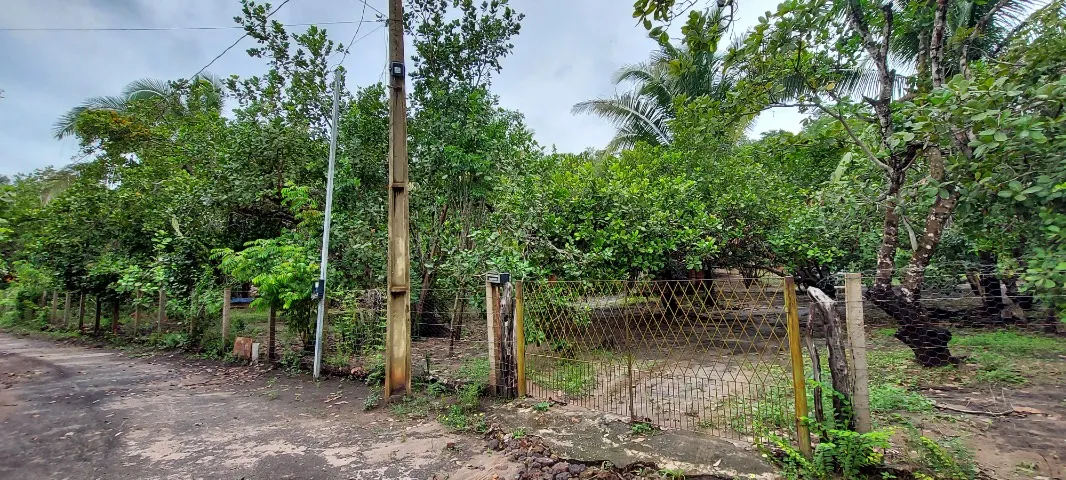 Propiedade na Localidade Bambu, próximo ao Portal da Amazônia
