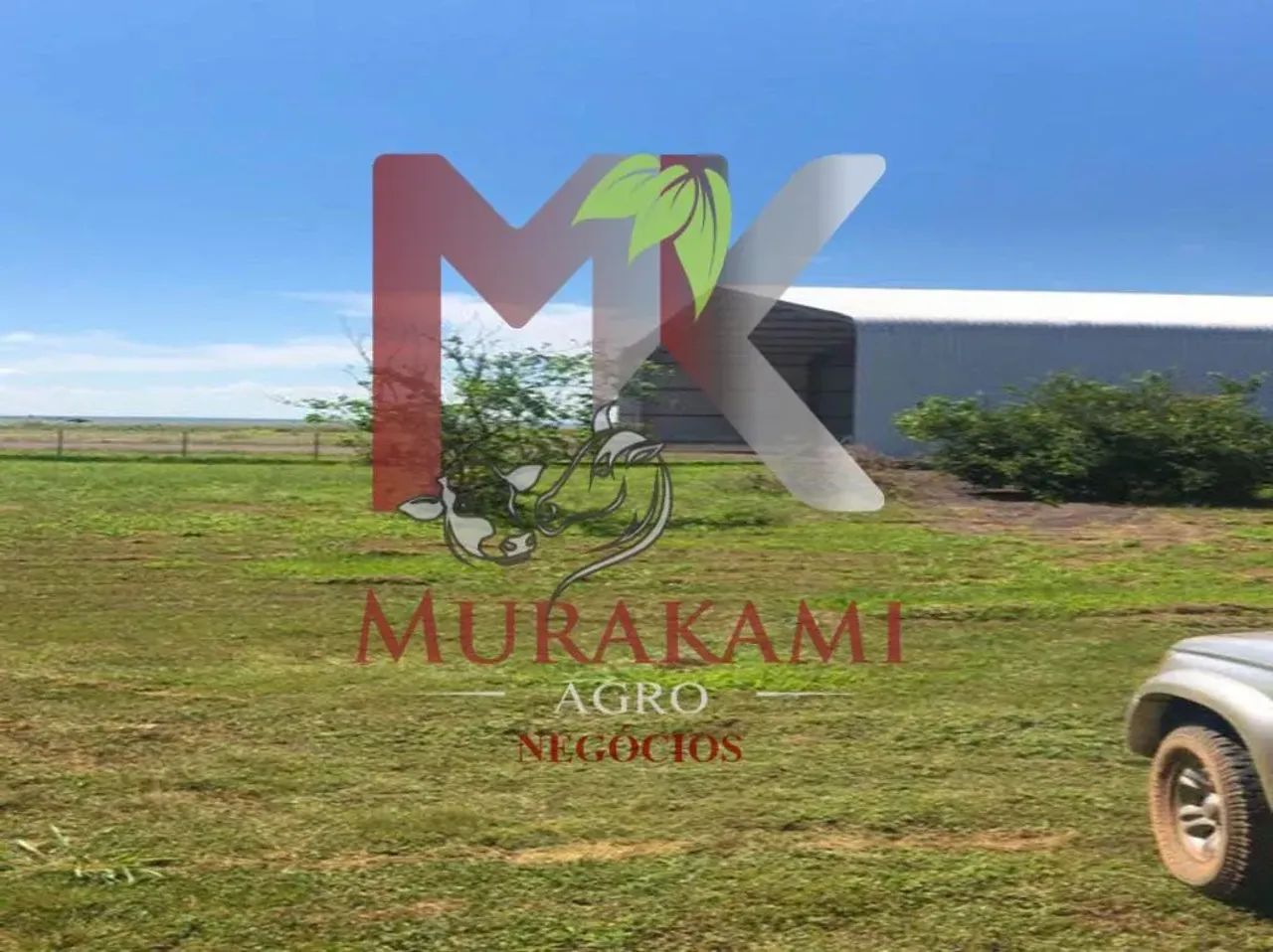 FAZENDA EM PARANATINGA MATO GROSSO - Foto 5