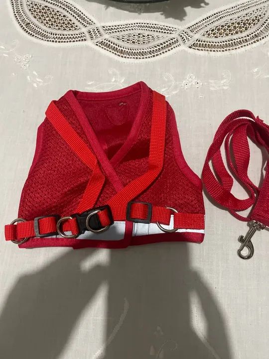 Coleira e Peitoral para Cães - Vermelho - Foto 2
