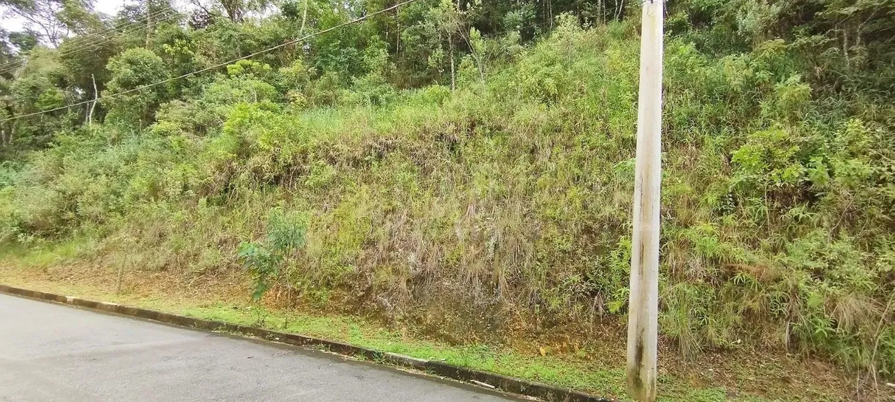 Lote em Condomínio à venda, Canto da Mata - Nova Lima/MG