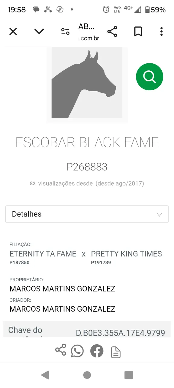 Cavalo quarto de milha PO