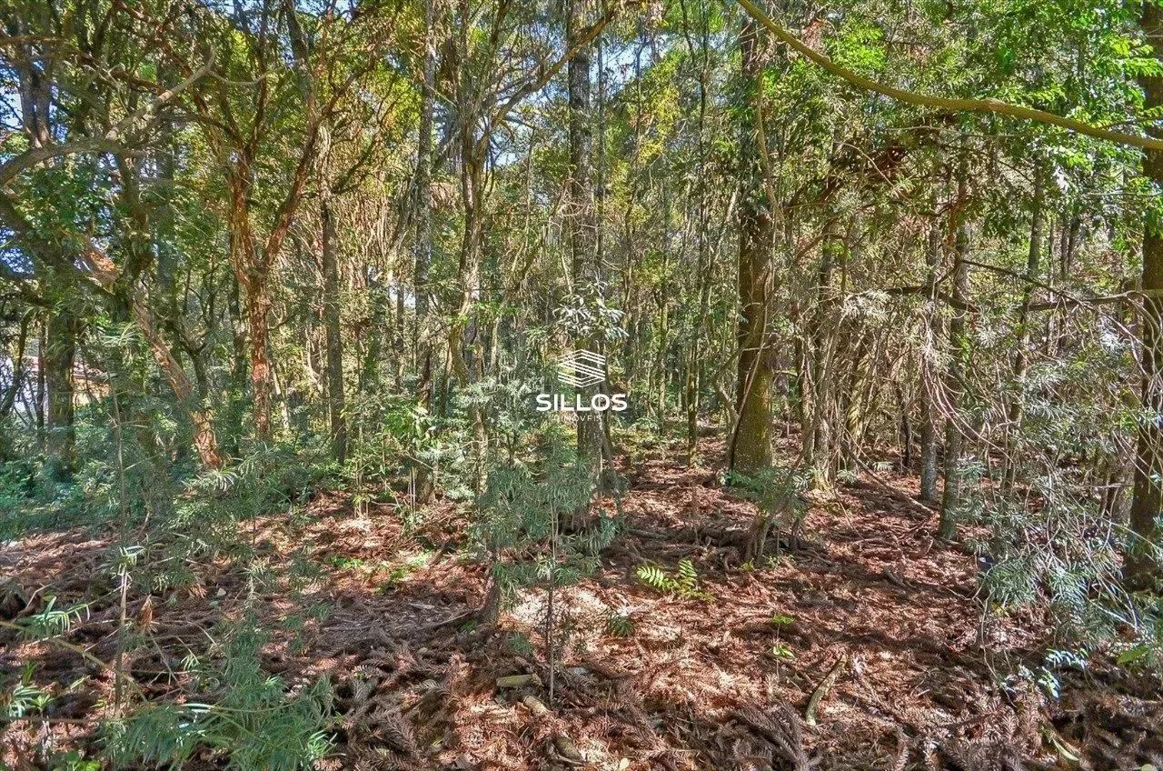 Terreno à venda com 6.309,40m² no São Gabriel - Colombo/PR - Foto 12