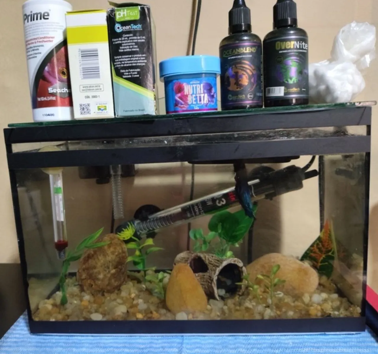 Aquário Completo para Peixes Betta
