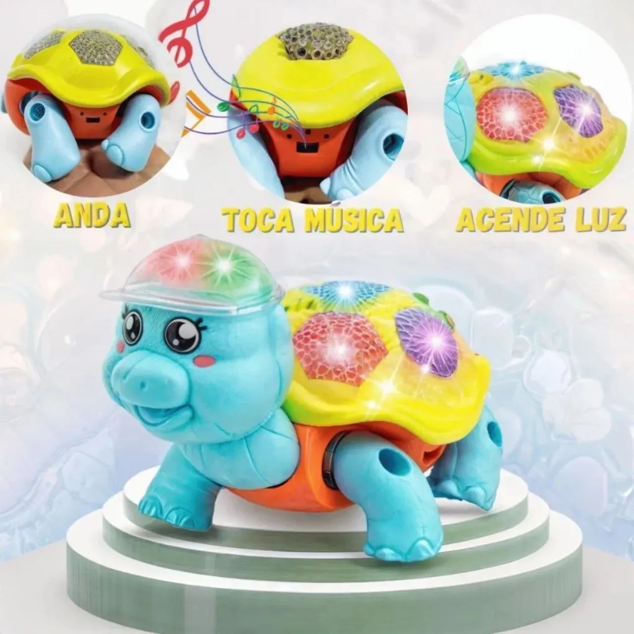Tartaruga fujão  - Foto 2