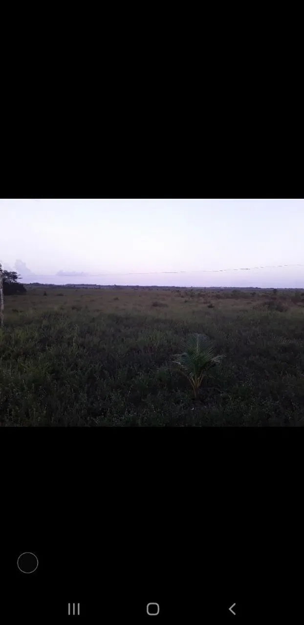 Vendo lotes rural a 23 km de macapa ramal farinha seca 