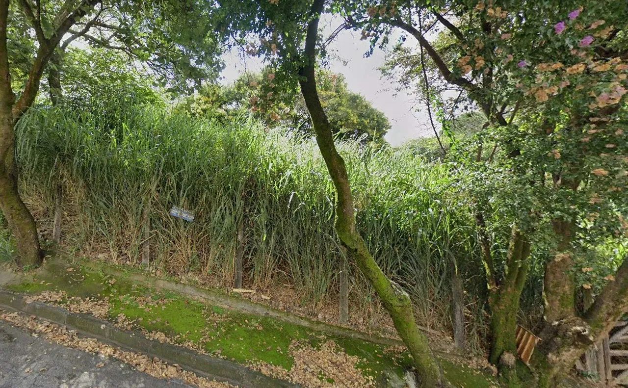 Lote - Terreno à venda, Alto Caiçaras - Belo Horizonte/MG - Foto 5