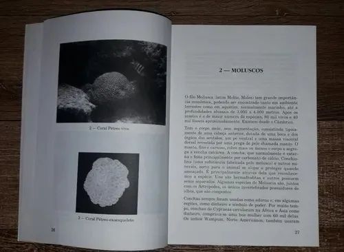 Livro Animais Marinhos Que Podem Ferir o Mergulhador - Foto 4