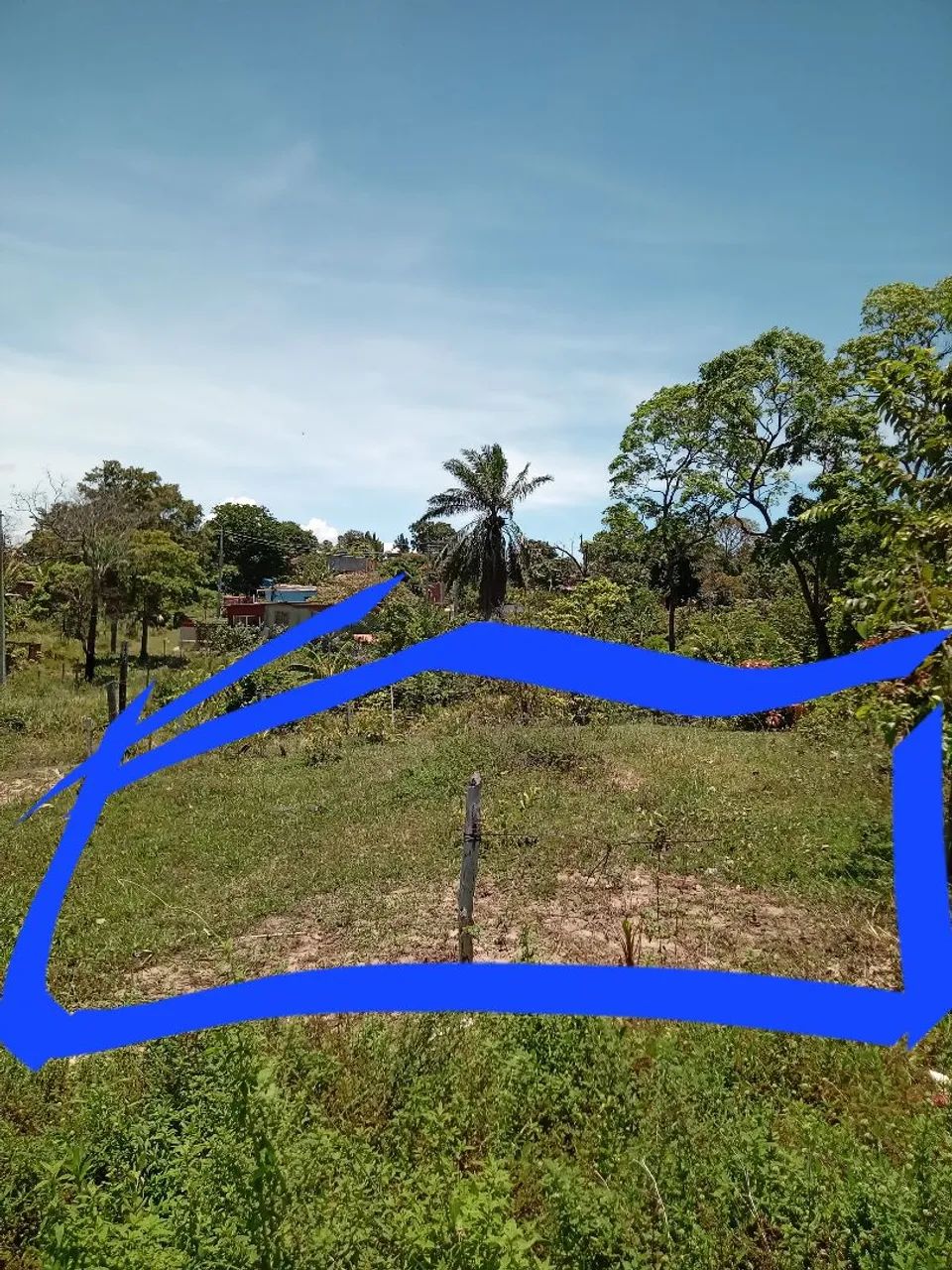 Foto - Paulista - Maranguape II