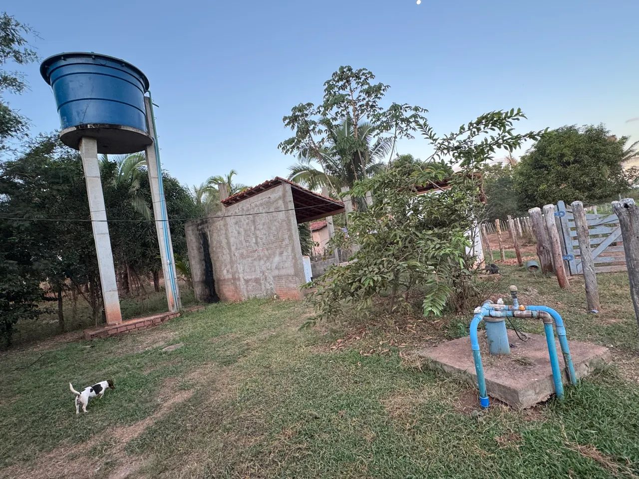 Vendo sítio km 14 Tiuba em TIMON MA  - Foto 3
