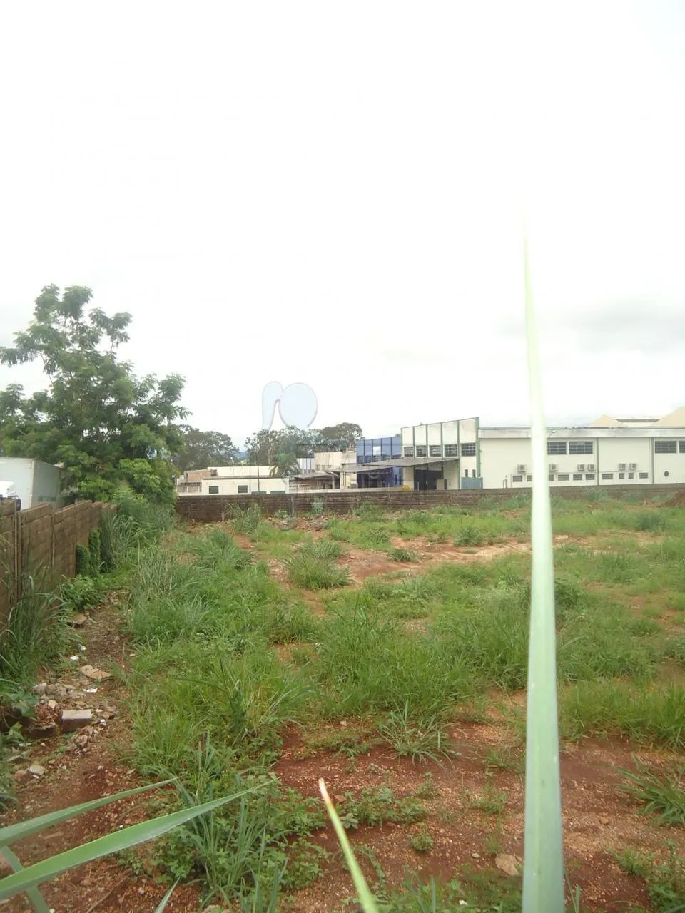 TERRENO NO LAGOINHA - Foto 2