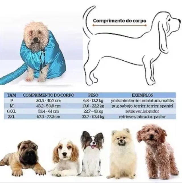 Kit Escova Secadora + Dog Dryer  - Foto 5