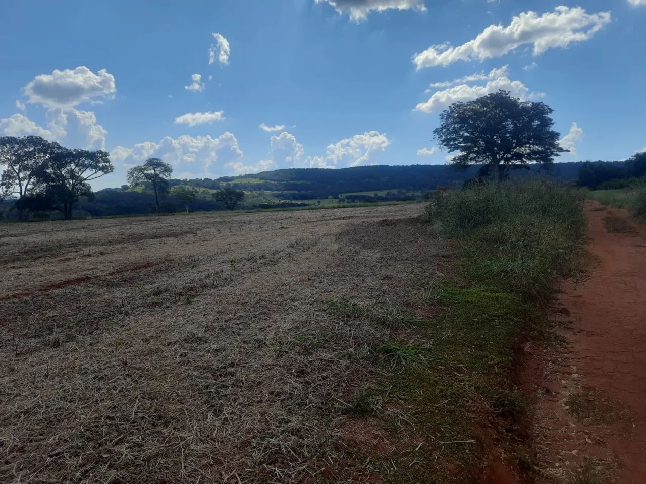 Fazenda próximo à Tupaciguara lavoura  - Foto 3