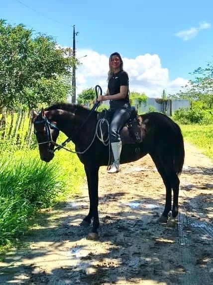 Vendo cavalo Mangalarga Marchador 4 anos - Foto 2
