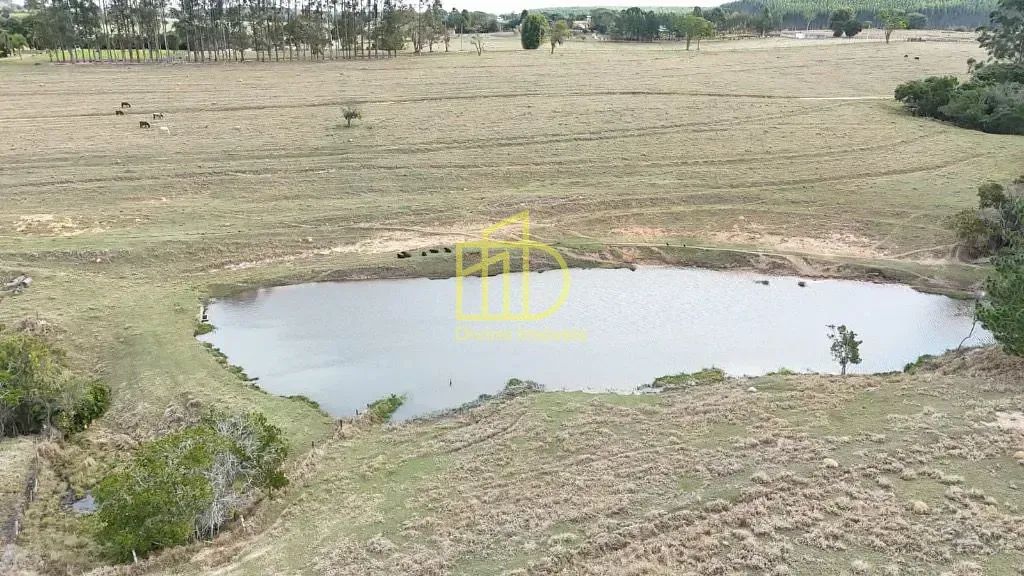 Excelente Sítio à Venda  Itapetininga/SP - Foto 3