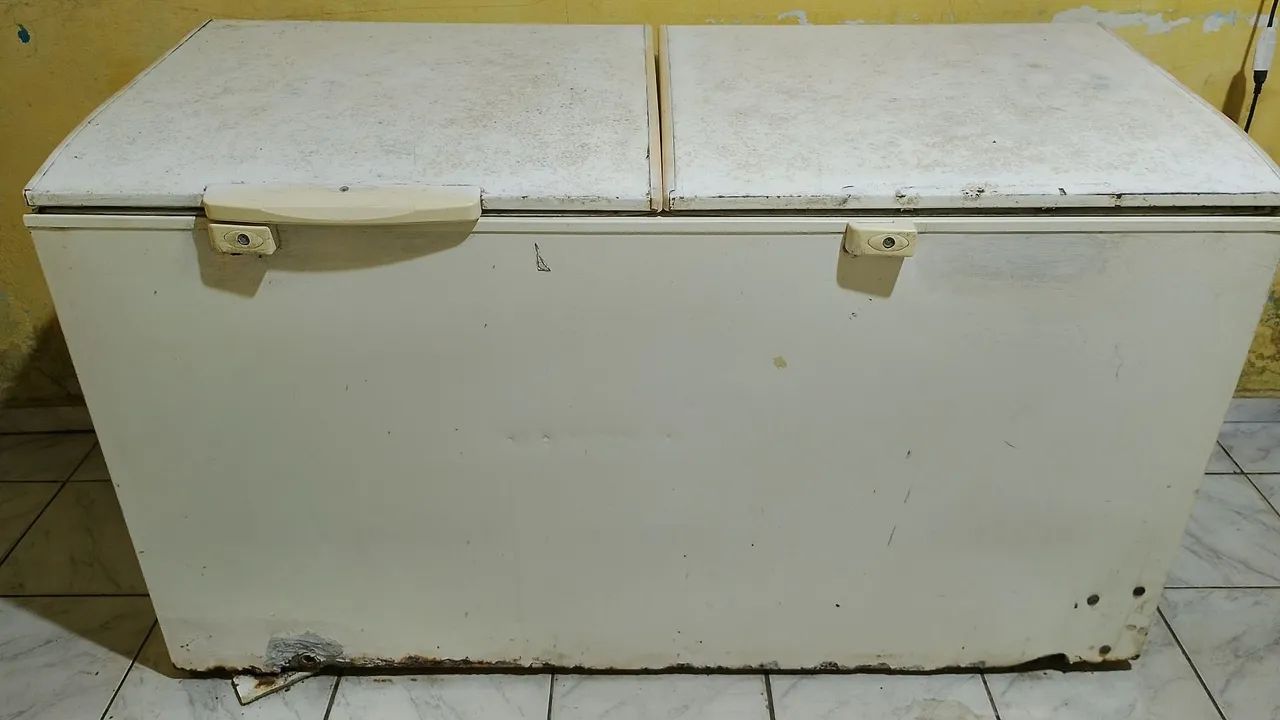 Frizer 2 portas 
