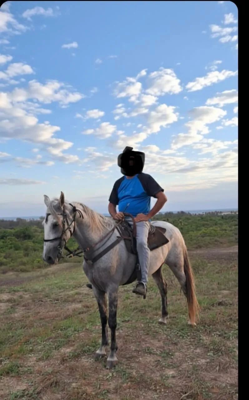 Mangalarga marchador - Foto 2