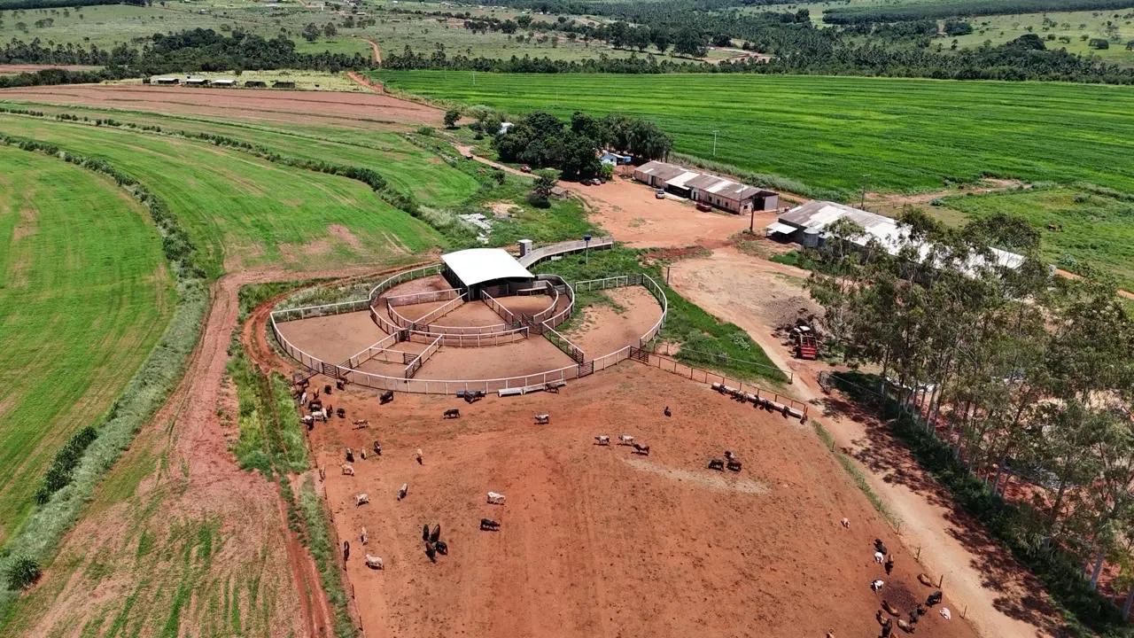 Fazenda com confinamento Uberlandia  - Foto 4