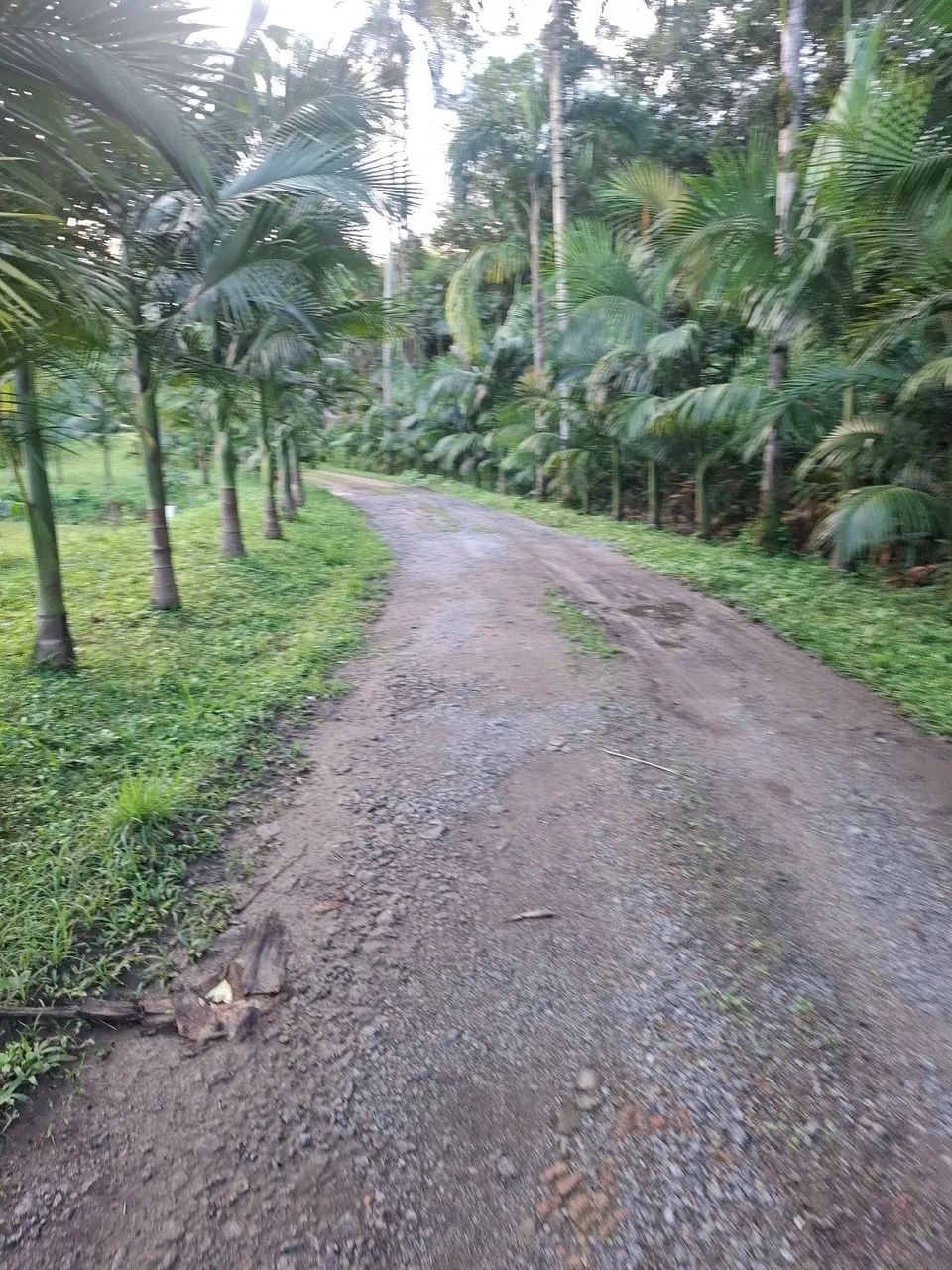 Terreno rural 
