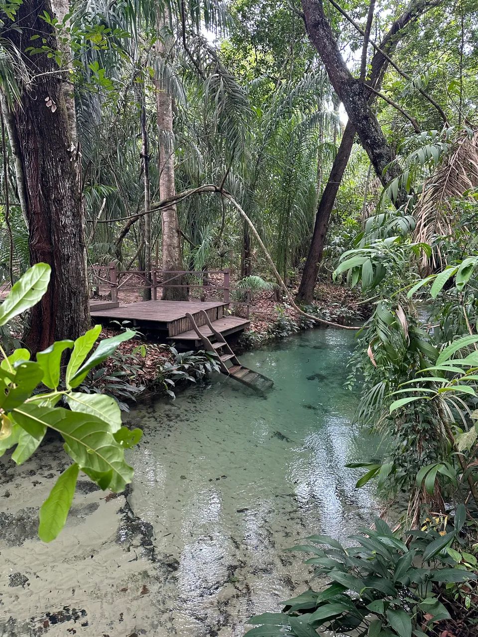 Vendo Cachoeira Paradisíaca no Rio Formiga - Jalapão