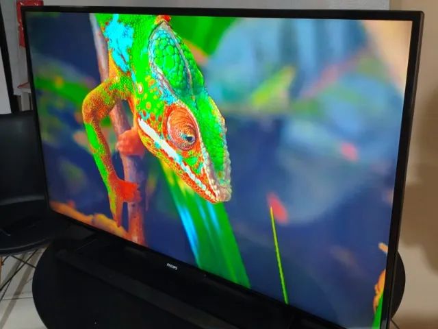 TV 43 Phillips